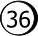 36