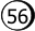 56