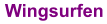 Wingsurfen