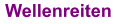 Wellenreiten